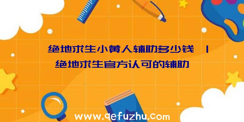 「绝地求生小黄人辅助多少钱」|绝地求生官方认可的辅助